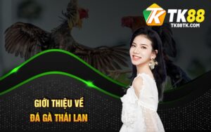 Giới thiệu về Đá Gà Thái Lan